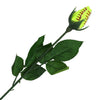 Softball Rose Sports Roses Flowers Softball Gifts for Girls Mom Coach Team Players Dad Fathers Day